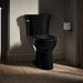 KOHLER K-43999-7 Black Black - Closeroomview Square