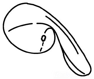 KOHLER K-78380-SN Handle, Side Lever