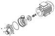 KOHLER K-1016957 Pump Assy, Var. Spd 230V