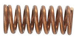 KOHLER K-32622 Spring
