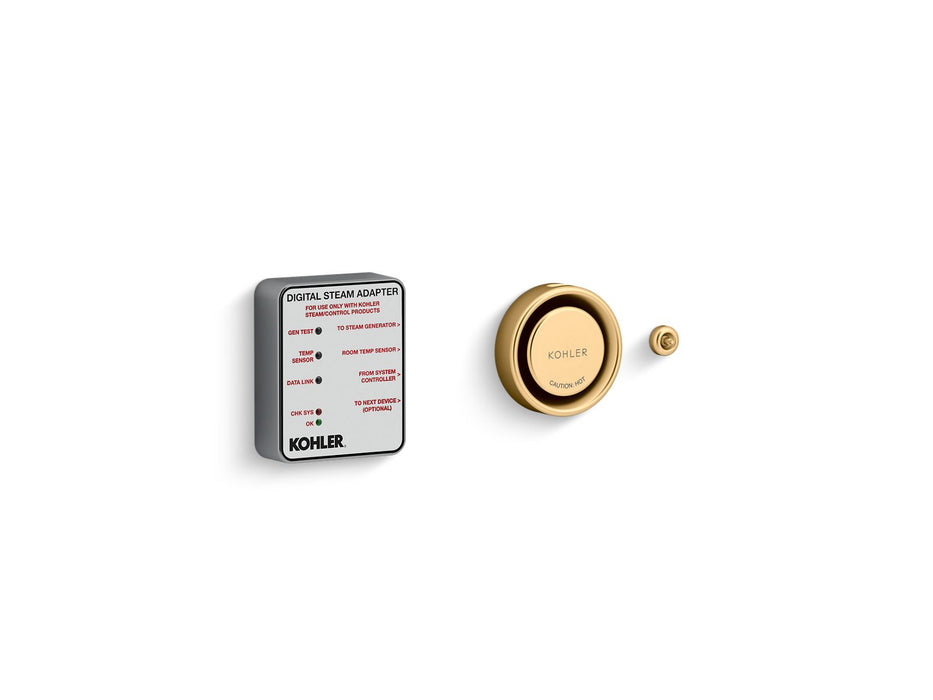 KOHLER K-5548-K1 Invigoration Series Digital steam adapter kit