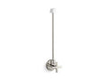 Polished Nickel