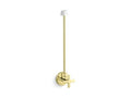 Unlacquered Brass