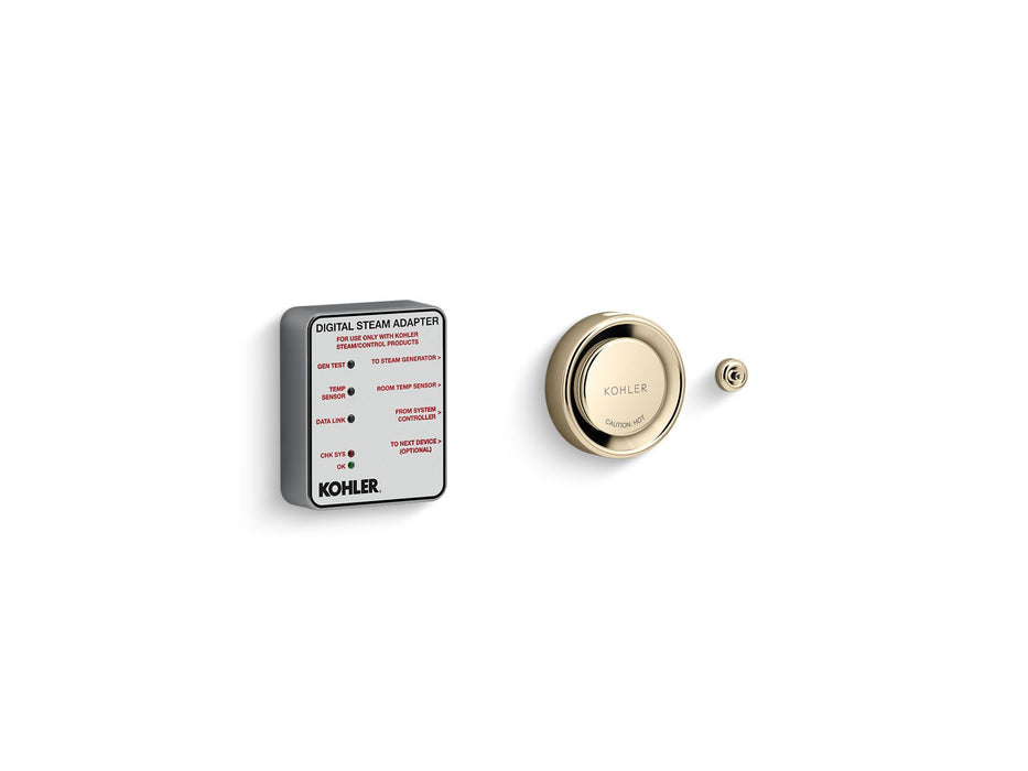 KOHLER K-5548-K1 Invigoration Series Digital steam adapter kit