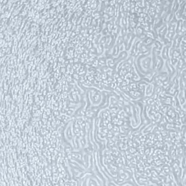 KOHLER K-1095352-G1 Dusk Glass 1" x 2" Samples