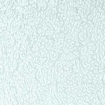 KOHLER K-1095352-G2 Dew Glass 1" x 2" Samples