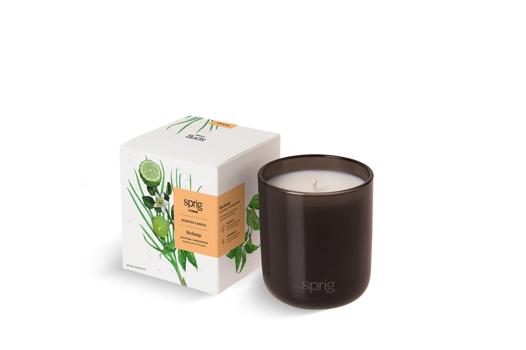 KOHLER K-26803-A4 Sprig Recharge Scented Candle (Bergamot + Lemongrass)