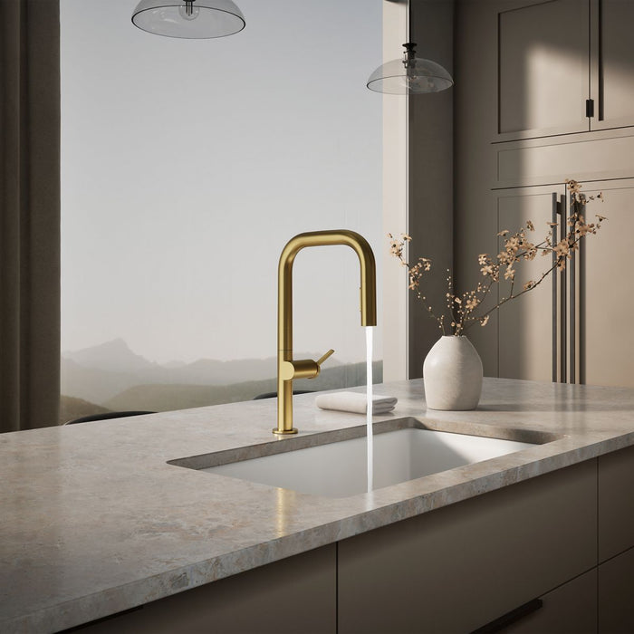 Kohler Components Pull-down kitchen sink faucet with two-function sprayhead