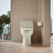 KOHLER K-30811 Santa Rosa One-piece compact elongated 1.6 gpf toilet with Revolution 360 swirl flushing technology,...