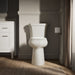 KOHLER K-35643 Highline Tall round-front toilet bowl, biscuit - view 4