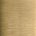 Vibrant Brushed Moderne Brass