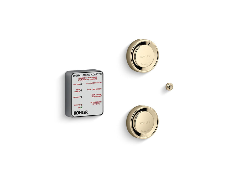 KOHLER K-5549-K1 DTV+ Tandem digital steam adapter kit