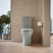 KOHLER K-6355 Persuade Two-piece elongated toilet with skirted trapway, dual-flush, ice grey - view 5