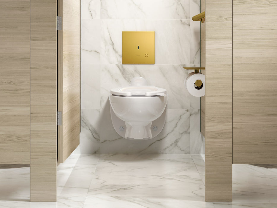 KOHLER K-90TB00K50 Mach Flex Metal faceplate for concealed touchless toilet flushometer, 1.0 gpf