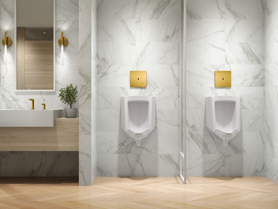 KOHLER K-90UB00D40 Mach Flex Metal faceplate for concealed touchless urinal flushometer, 0.125 gpf