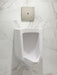 KOHLER K-90UB00G40 Mach Flex Metal Faceplate for Concealed Touchless Urinal Flushometer, 0.5 GPF, Vibrant Brushed Nickel - im