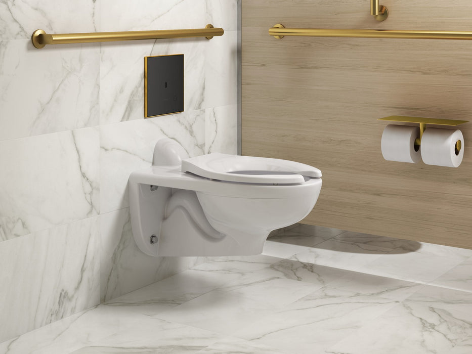 KOHLER K-91TB10N50-7BK Mach Flex Glass faceplate for concealed touchless toilet flushometer, 1.28 gpf