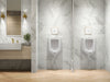 Up to 2 walls & multiple product categories visible