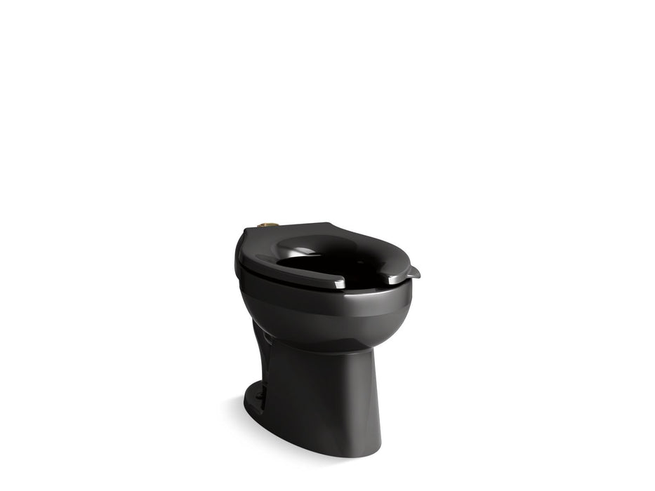 KOHLER K-96053-L Wellcomme Floor-mount top spud flushometer bowl with bedpan lugs