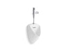 KOHLER K-PR20713-T2H Tend Urinal with Mach Tripoint touchless 0.5 gpf HES-powered flushometer, not applicable