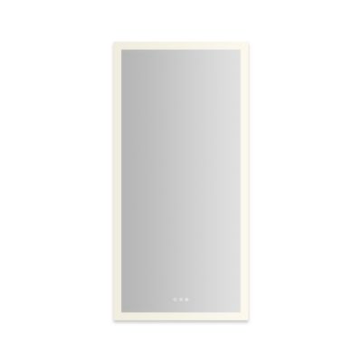 Robern AR2448D4FP1LP 24" x 48" x 4", Perimeter Lit, TUN Lighting, Warm White (2700K) to Cool White (5600K), Dimmable, Interio