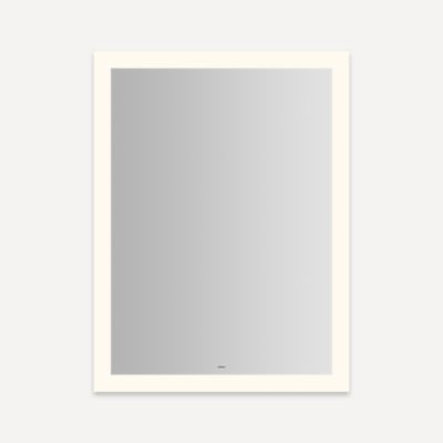Robern YM3040RPFPD3K Vitality Lighted Mirror, 30" x 40" x 1-3/4", Perimeter Light Pattern, Warm White (3000K), Dimmable, Defo
