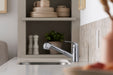 Sterling 24277 Valton Pull-out Single-handle Kitchen Faucet, Polished Chrome