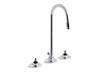 KOHLER 7435-K-CP Triton Widespread Commercial Bathroom Sink Faucet With Gooseneck Spout And Pop-Up Drain, Requires Handles in Polished Chrome