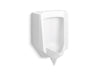 KOHLER K-25048-ER Stanwell Blow-out 0.5 to 1.0 gpf urinal with rear spud
