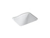 KOHLER K-6657-4U River Falls 25" x 22' x 14-15/16" undermount utility sink with 4 faucet holes