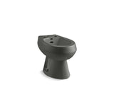 KOHLER K-4854 San Tropez Vertical spray bidet with 4 faucet holes