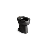 KOHLER K-96053 Wellcomme Ultra Floor-mount top spud flushometer bowl